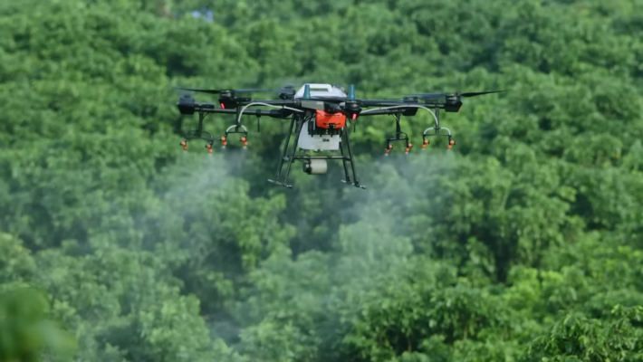Drone ile fındıklık ilaçlama