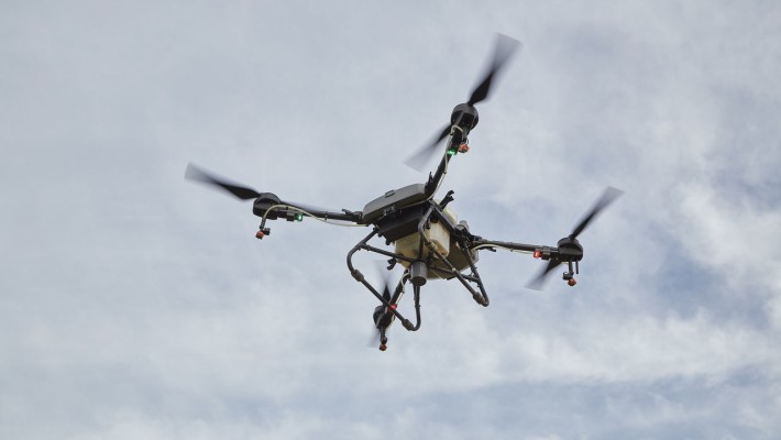 Dronla fındık bahçesi ilaçlaması nasıl yapılır?
